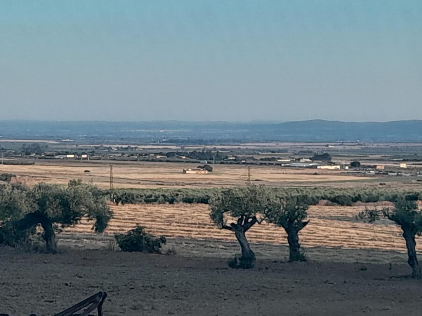 Casa Rural Cerro Campon Кармона Екстериор снимка