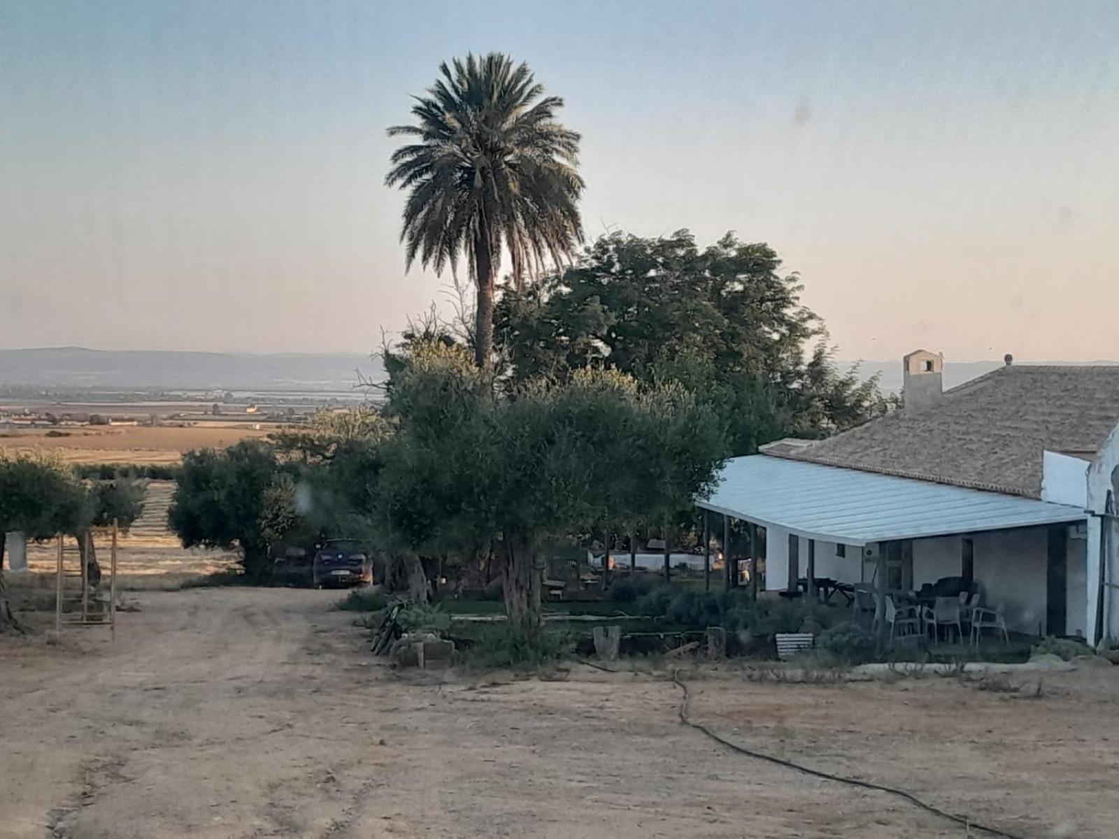 Casa Rural Cerro Campon Кармона Екстериор снимка