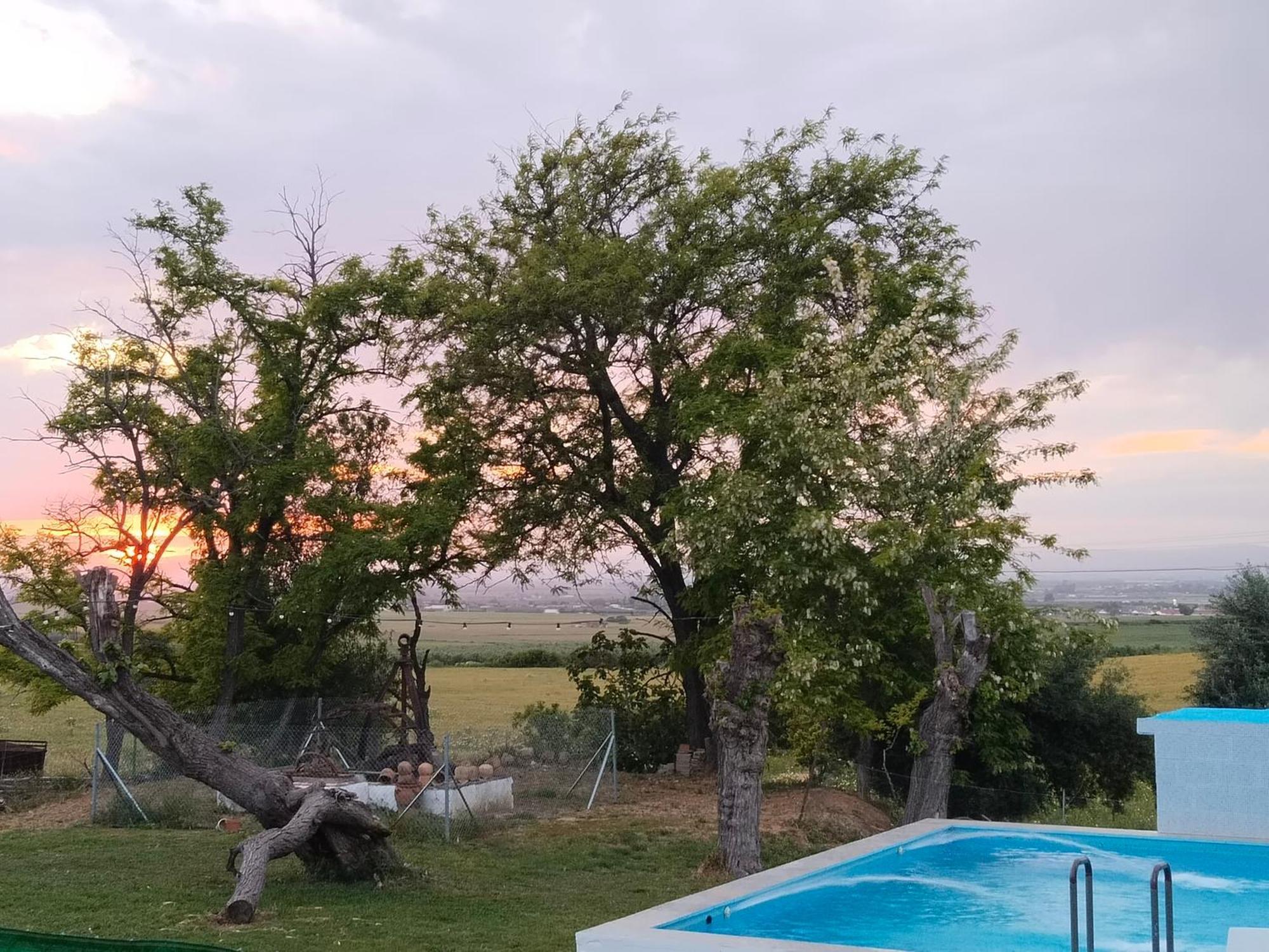Casa Rural Cerro Campon Кармона Екстериор снимка